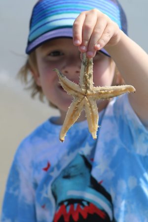 a hand holding a banana